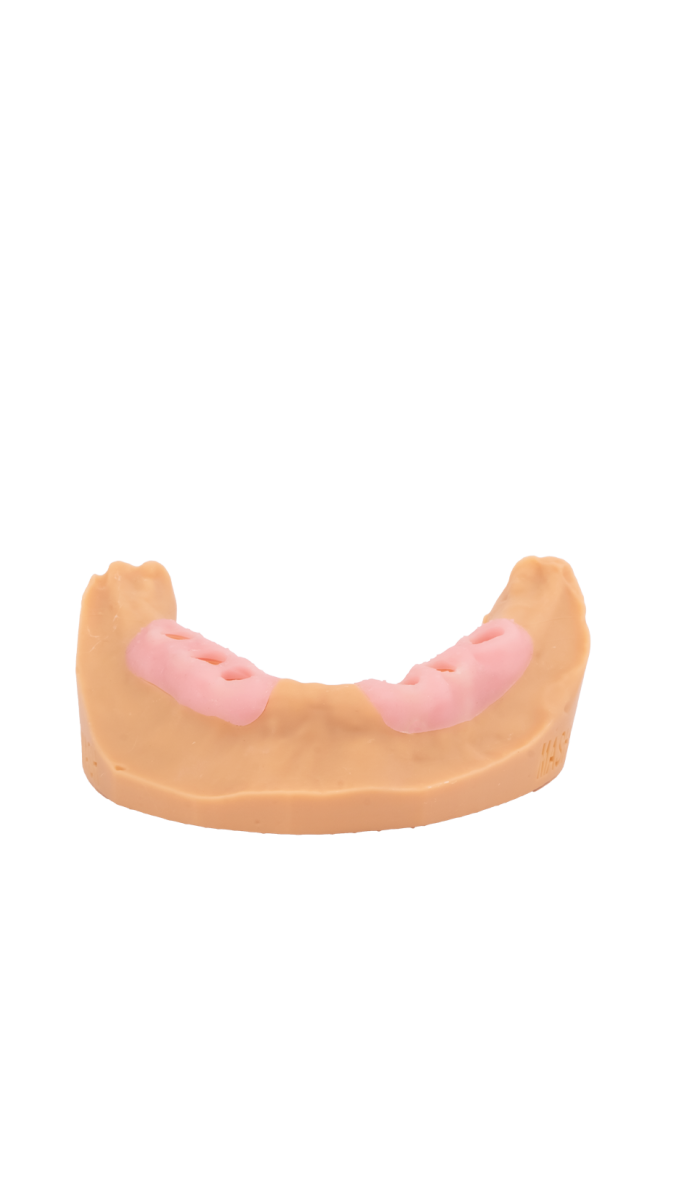 Gingiva Resin